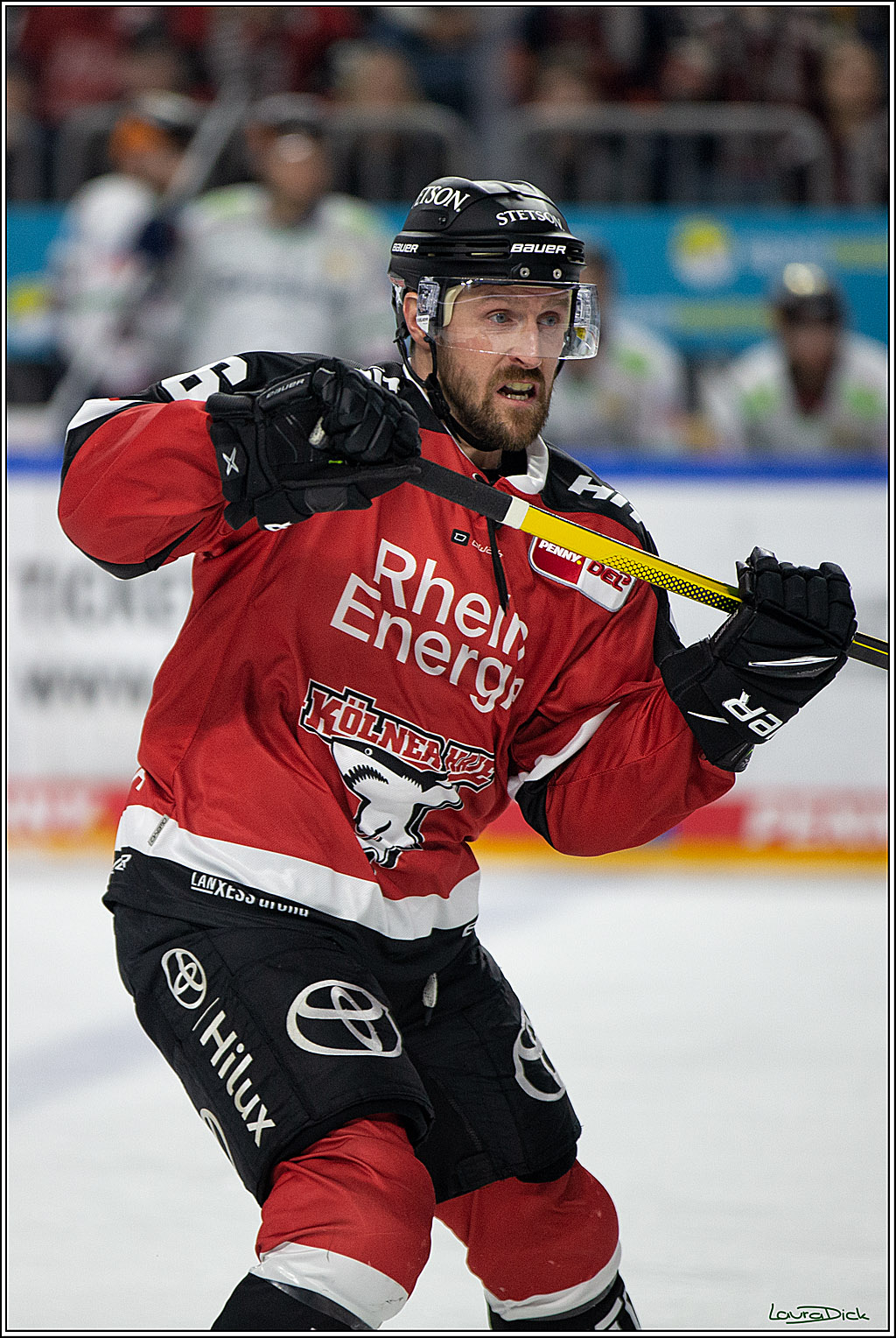 PENNY DEL;  Koelner Haie - Eisbaeren Berlin; Koeln, 12.04.2022